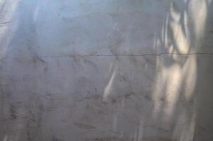 Minimalistic light background with blurred foliage shadow on a wall. Beautiful background for presentation. photo