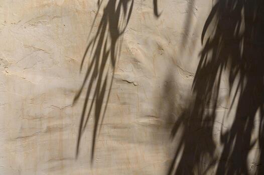 Branches and leaves of trees with shadow on a yellow wall background. Space for text, space for copy, top view photo