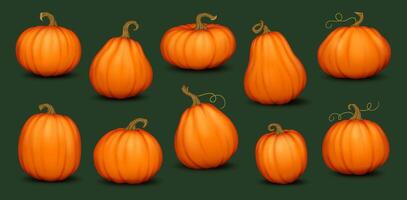 Ripe pumpkins with stems and curly vines realistic color icons set. Autumn farm vegetables harvest 3d objects illustrations collection on black vector