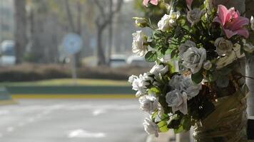 flores en un calle lámpara en memoria de un murió en un tráfico accidente video