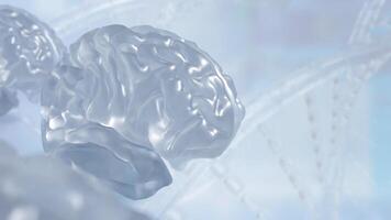The crystail Brain on white Background 3d rendering. photo