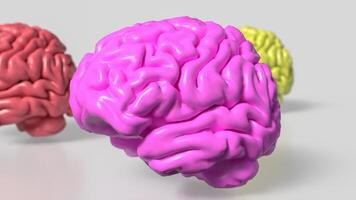 The Multi color Brain on white Background 3d rendering. photo