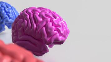 The Multi color Brain on white Background 3d rendering. photo