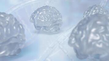 The crystail Brain on white Background 3d rendering. photo