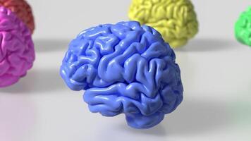 The Multi color Brain on white Background 3d rendering. photo