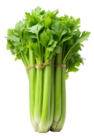 celery isolated on a transparent background png