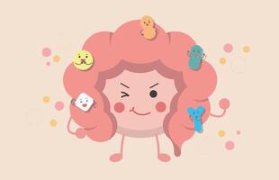 The intestines of human organs, the effect of probiotics on the digestive tract vector