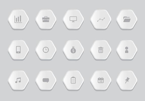12 hexagonal infographics and business icons