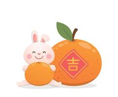 Cute rabbit character or mascot with tangerine, Chinese New Year, Year of the Rabbit, cartoon style vector