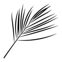 Black Palm Leaf Background. Tropical drawn text background. vector