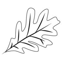 Oak leaf linear logo design template. Oak leaf with acorns graphic . illustration vector