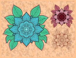Intricate Floral Mandala Design Set , Perfect for Boho Art, Decorative Prints, and Textile Patterns vector