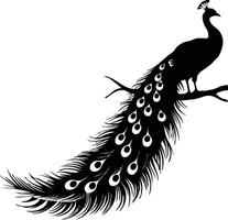 Peacock silhouette Peacock silhouette on white background vector