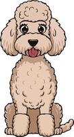 A cartoon poodle sitting down with its tongue out vector
