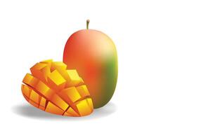 Mango slice copy-space illustration for background design. Isolated on white background. vector