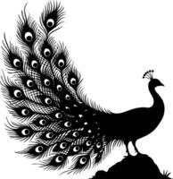 Peacock silhouette on white background vector