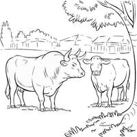 Two bulls in the field coloring page vector