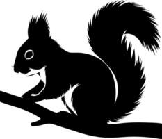 Squirrel on a branch silhouette vector