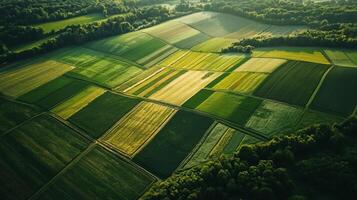 Aerial view of sprawling agricultural landscape with neatly arranged fields. Farmland photo