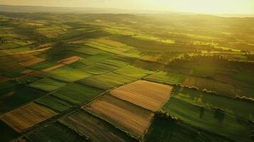 Aerial view of sprawling agricultural landscape with neatly arranged fields. Farmland photo
