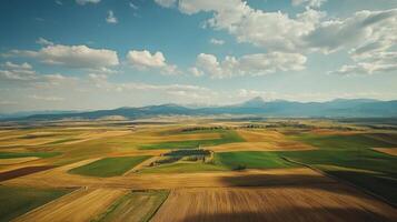 Aerial view of sprawling agricultural landscape with neatly arranged fields. Farmland photo