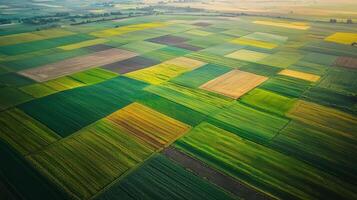 Aerial view of sprawling agricultural landscape with neatly arranged fields. Farmland photo