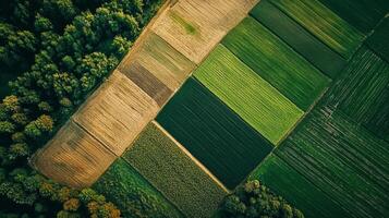 Aerial view of sprawling agricultural landscape with neatly arranged fields. Farmland photo