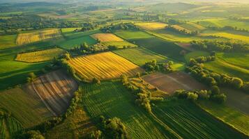 Aerial view of sprawling agricultural landscape with neatly arranged fields. Farmland photo