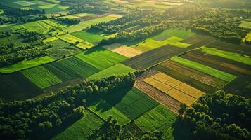 Aerial view of sprawling agricultural landscape with neatly arranged fields. Farmland photo