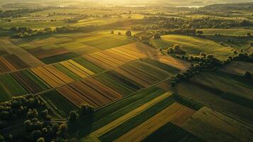Aerial view of sprawling agricultural landscape with neatly arranged fields. Farmland photo
