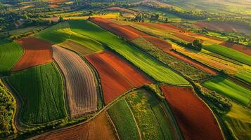 Aerial view of sprawling agricultural landscape with neatly arranged fields. Farmland photo