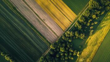 Aerial view of sprawling agricultural landscape with neatly arranged fields. Farmland photo