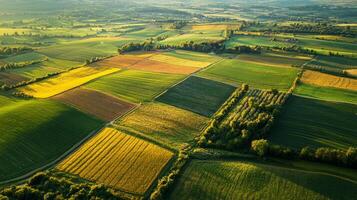 Aerial view of sprawling agricultural landscape with neatly arranged fields. Farmland photo