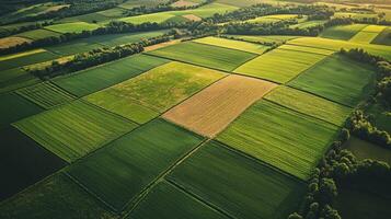 Aerial view of sprawling agricultural landscape with neatly arranged fields. Farmland photo