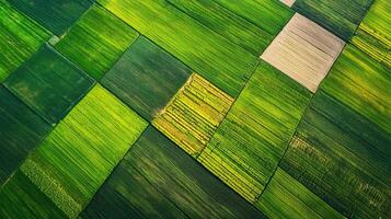 Aerial view of sprawling agricultural landscape with neatly arranged fields. Farmland photo
