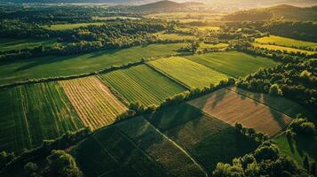 Aerial view of sprawling agricultural landscape with neatly arranged fields. Farmland photo