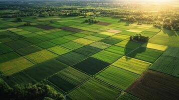 Aerial view of sprawling agricultural landscape with neatly arranged fields. Farmland photo