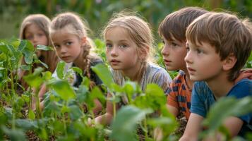Children learning about farming on educational trip. Educational Farm Tour photo