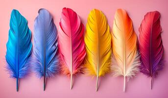 A row of colorful feathers on a pink background. The feathers are of different colors, including blue, yellow, and red. Concept of vibrancy and diversity photo