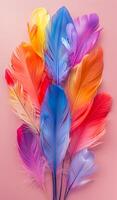 A colorful arrangement of feathers on a pink background. The feathers are of various colors, including blue, red, yellow, and green. Concept of vibrancy and liveliness photo