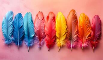 A row of colorful feathers on a pink background. The feathers are arranged in a rainbow pattern, with each feather a different color. Concept of vibrancy and beauty, as well as a feeling of freedom photo
