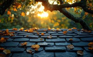 A tree branch is above a pile of leaves. The leaves are orange and yellow, and they are scattered across the ground. The sun is shining through the leaves, creating a warm and peaceful atmosphere photo