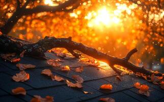 A tree branch is covered in autumn leaves and is dripping with water. The sun is shining on the leaves, creating a beautiful and serene scene photo