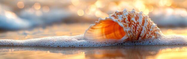 A shell is laying on the sand with the ocean in the background. The shell is orange and white, and it is partially submerged in the water. Concept of tranquility and relaxation, as the shell photo