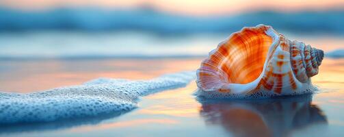 A large shell is laying on the beach, with the ocean in the background. The shell is orange and white, and it is a rare find. The scene is serene and peaceful photo