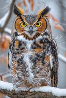 A large owl is perched on a branch in the snow. The owl has a yellow eye and a brown and white body. Concept of stillness and quietness, as the owl is alone and not in motion photo