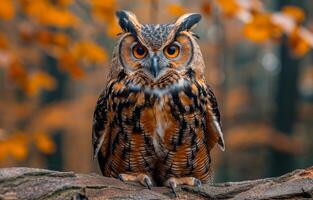 A large brown owl is sitting on a branch in a forest. The owl has a bright orange eye and is looking directly at the camera. The scene is peaceful and serene photo