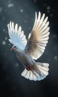 A white dove is flying in the sky. The image has a peaceful and serene mood, as the dove is a symbol of peace and freedom photo