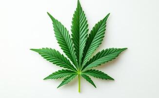 Green cannabis leaf on neutral backdrop. A vibrant green cannabis leaf is centered on a light, neutral background, showcasing its distinctive serrated edges and shape. photo