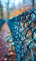 Rusty chain link fence in a colorful autumn forest. A weathered chain link fence stands along a winding path, surrounded by vibrant autumn foliage and a tranquil forest atmosphere. photo